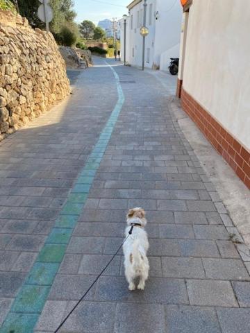 Altea Beachgate - Acceso Privado A La Playa Ngoại thất bức ảnh